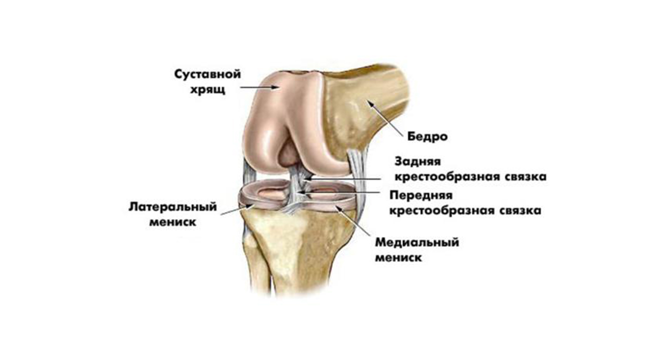 ЗАКРЫТЫЕ ТРАВМЫ КОЛЕННОГО СУСТАВА